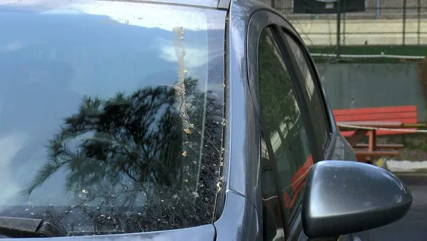 İstanbul'a yağan çamurun nedeni belli oldu!-4