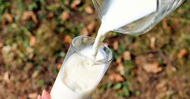 Tarım ve Orman Bakanı Pakdemirli müjdeyi verdi! Çiğ süt desteği ödemeleri 3 ay erken olacak