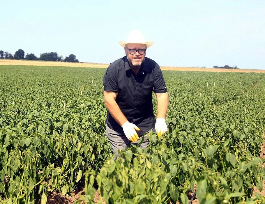 Hobisiydi 22 bin metrekareye ulaştı