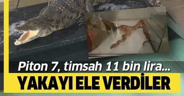 takvim gazetesi