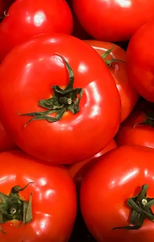 Kasımda en çok domatesin fiyatı arttı