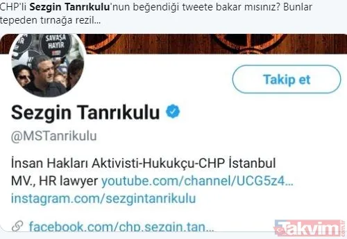 CHP'li Sezgin Tanrıkulu porno videosunu beğendi! Sosyal medya yıkıldı... - 18