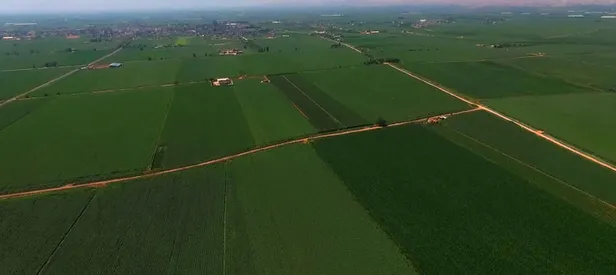 Güneydoğu Anadolu Projesi (GAP) bölgesi ülkenin gıda üssü olacak