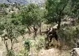 Milli Savunma Bakanlığı açıkladı: Komandolarımız teröristlerin ininde