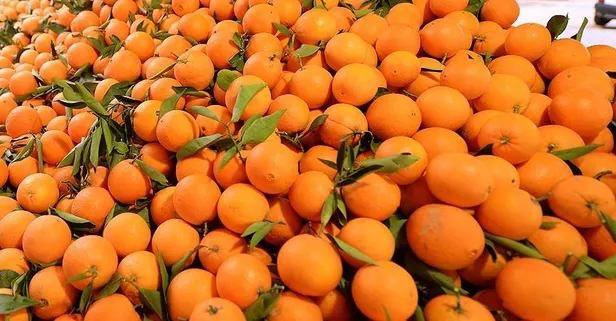 Portakalın faydaları saymakla bitmiyor! Kansere karşı önleyici özellikler taşıyor, cildin genç ve sağlıklı kalmasını sağlıyor