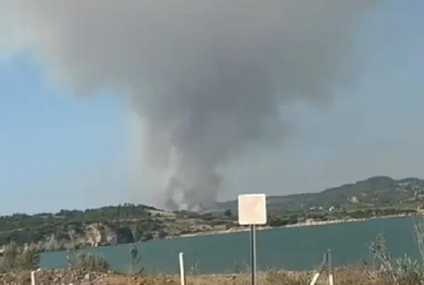 Adana Sarıçam’da orman yangını!