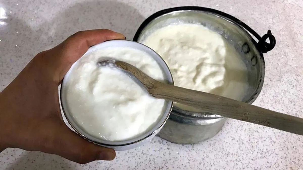 Böbreklere kefir gücü