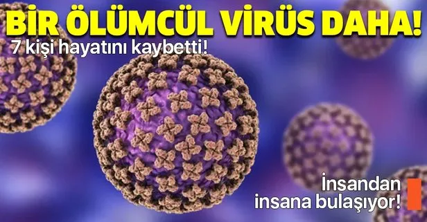 Koronavirüsün ardından yeni bir ölümcül virüs daha ortaya çıktı! Bunyavirüs nedir? Bunyavirüsün belirtileri nelerdir?