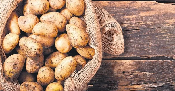 Son dakika: Başkan Recep Tayyip Erdoğan'dan çiftçiye nefes aldırdı: Ayrıca 21 bin çiftçinin borçlarına yapılandırma