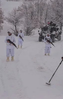 DHKP-C o bölgeden silindi