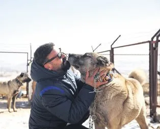 Amerikan yıldızı Kangal