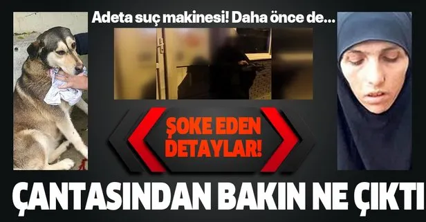Son dakika: İstanbul Tuzla’da kedi yiyen Fatma Ç. hakkında şoke eden detaylar! Çantasından çıkanlar...