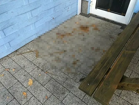 Almanya'da çirkin saldırı! Wassenberg Selimiye Camisi dışkı sürülerek kirletildi-1