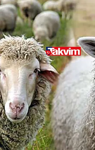 Kurban Bayramı resmi tatili kaç gün olacak 2021? Kurban Bayramı tatili 9 gün mü olacak?