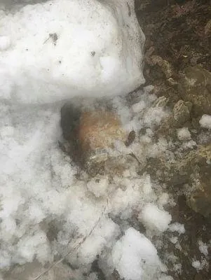 hakkaride-teror-orgutu-pkk-tarafindan-tuzaklanmis-el-yapimi-patlayicilar-imha-edildi-1585243175097.jpeg Hakkari'de terör örgütü PKK tarafından tuzaklanmış el yapımı patlayıcılar imha edildi!-3