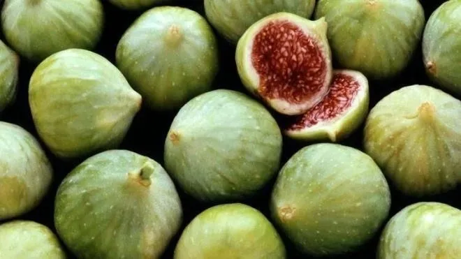 Yerken bir kez daha düşüneceksiniz: İncirin binlerce yıl saklanan gerçek yüzü! Meğerse meyve değilmiş-6