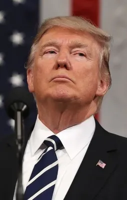 Trump: Bu bir cadı avı