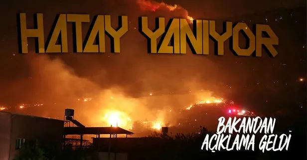 Hatay İskenderun'da yangın çıktı!