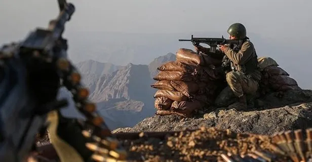 Siirt’te PKK’lı 2 terörist etkisiz hale getirildi
