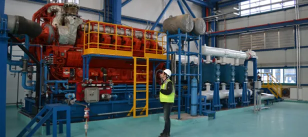 Tuz Gölü Yeraltı Doğalgaz Depolama Tesisi