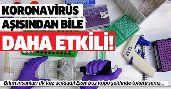 Bilim insanları ilk kez açıkladı! Koronavirüs aşısından bile daha etkili! Eğer buz küpü olarak tüketirseniz...-1