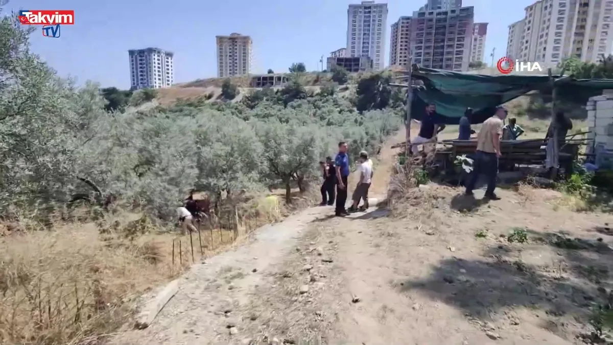 Kuşadası'nda traktör devrildi: 1 ölü!