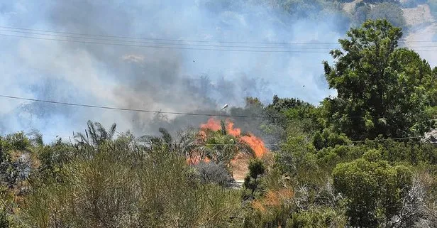 Bodrum Da Korkutan Yangin Bir Anda Yayildi Takvim