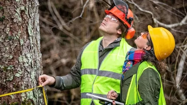 tarim-ve-orman-bakanligi-personel-alimi-basvuru-ekrani-ogm-ve-dsi-5-bin-64-isci-alimi-basvurulari-ne-zaman-bit-1648391779915.jpeg Tarım ve Orman Bakanlığı personel alımı BAŞVURU EKRANI | OGM ve DSİ 5 bin 64 işçi alımı başvuruları ne zaman bitiyor?-3