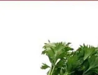 Kerevizin Faydaları