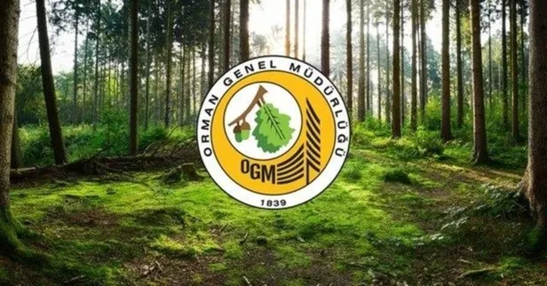 tarim-ve-orman-bakanligi-personel-alimi-basvuru-ekrani-ogm-ve-dsi-5-bin-64-isci-alimi-basvurulari-ne-zaman-bit-1648391779355.jpeg Tarım ve Orman Bakanlığı personel alımı BAŞVURU EKRANI | OGM ve DSİ 5 bin 64 işçi alımı başvuruları ne zaman bitiyor?-2