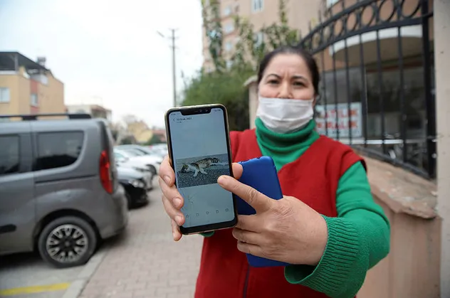 Mersin'de kan donduran olay! Telefonu çıkarıp gösterdi: Her sokakta ölüler var