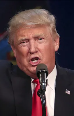 Kremlin ve Trump'tan o iddiaya yalanlama