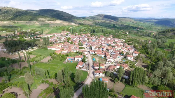 Amasya'da yaşayan 59 yaşındaki Hüseyin Tırpan 12 yıldır gün gün ölen köylülerinin isimlerini yazıyor - 5