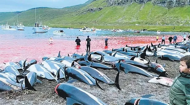 oc-davasi-uygunsuz-fotograf-suc-sayilmadi-yurttan-haberler-1631664644607.jpeg O.C davası! Uygunsuz fotoğraf, suç sayılmadı (Yurttan ve dünyadan haberler)-10