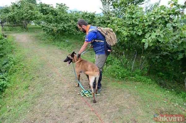 Derede Cansız Bedeni Bulundu Bulancak İlçesi İcili Köyünde, Cumartesi Akşamı Evinin Yakınındaki Bahçede Otlayan Büyükbaşlara Bakmaya Giden Ve Bir Daha Haber...