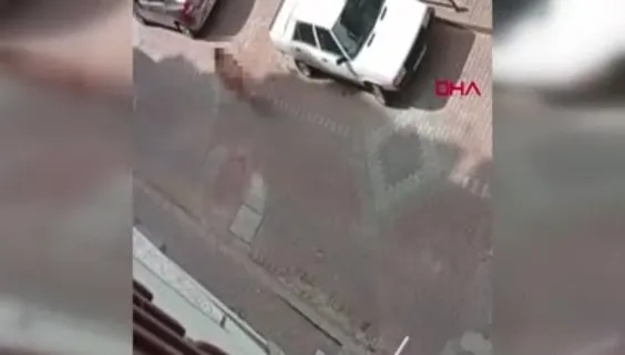 İzmit'te bir kadın sokak ortasında çırılçıplak bekledi!