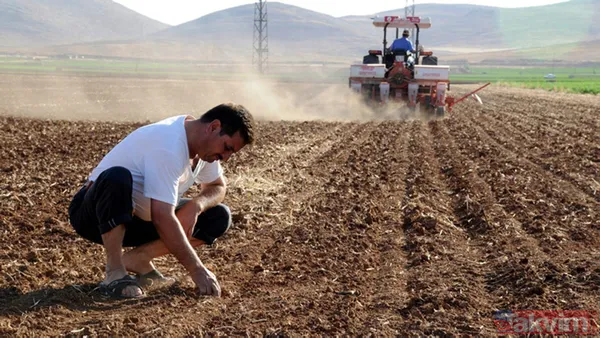 "Tarım öldü" diyenleri ters köşe yapacak rakamlar! Bakanlık sağladığı desteklerle organik üretim ve tüketimi artırıyor - 11