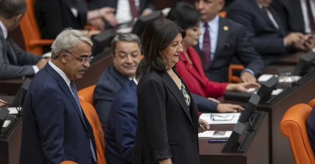 İmralı heyetine yeni isim! Sırrı Süreyya Önder’in yerine o gidecek