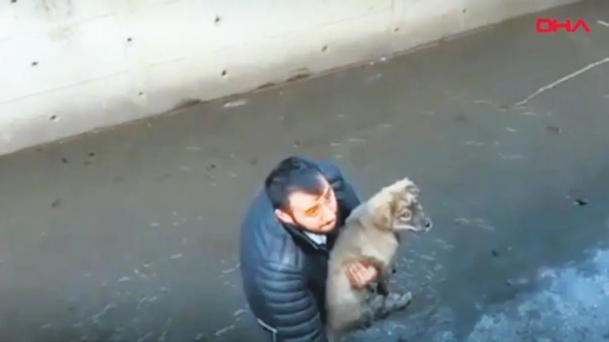 Ataşehir'de köpeğini kurtarmak isterken derede mahsur kaldı!