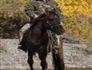 Putin ata binmiş, ya nasip demiş...