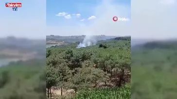Sultangazi kent ormanında yangın