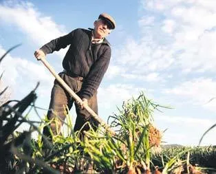 Çiftçiye 1 milyar euro