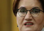 AK Partiden İYİ Parti Genel Başkanı Meral Akşenerin sömürge valisi hadsizliğine tepki: Edep, haya, utanma yok