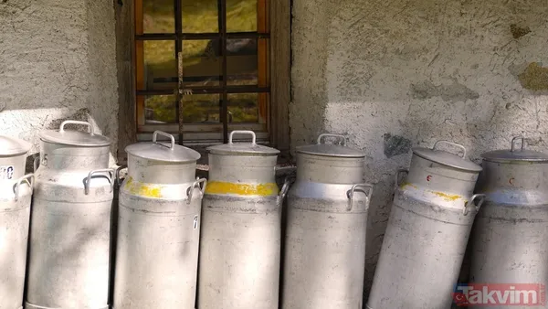 Yeni yıla bereketli başlangıç: Osmanlı saray mutfağından Süt Kebabı tarifi - 4