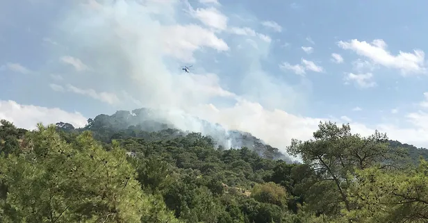 Son dakika haberi: Bodrum'da orman yangını