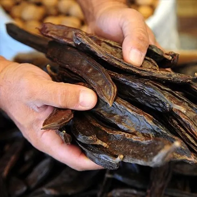 Astıma keçiboynuzu