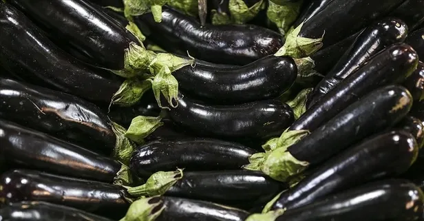 Hazımsızlığa iyi gelen patlıcan kansere karşı korur!