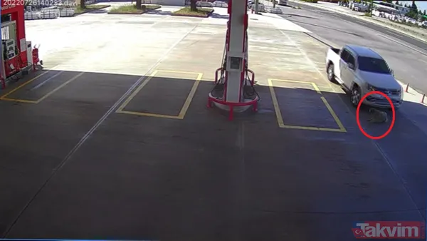 Kan donduran görüntüler! Köpeği ezmek için yolunu değiştirdi 2 bin TL para cezasına çarptırıldı - 1