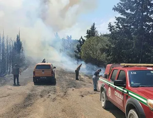 İzmir’de orman yangını