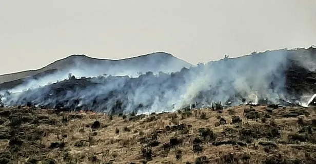 Son dakika: Muğla’nın Bodrum ilçesinde makilik alanda yangın çıktı